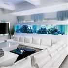 ACQUARIO DESIGN