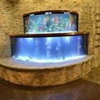 ACQUARIO DESIGN