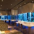 ACQUARIO DESIGN